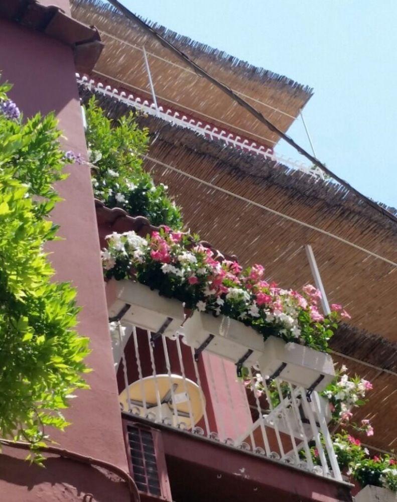 Villa La Tartana Positano Exterior foto